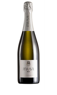 MUSA Brut  | Spumante Tenuta Musone
Walter Darini Riserva  | Vino Tenuta Musone