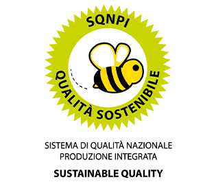Logo_SQNPI_def SQNPI